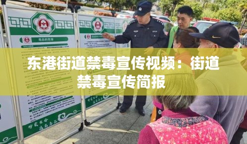 東港街道禁毒宣傳視頻：街道禁毒宣傳簡報 