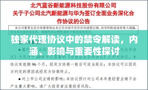 獨家代理協議中的禁令解讀，內涵、影響與重要性探討