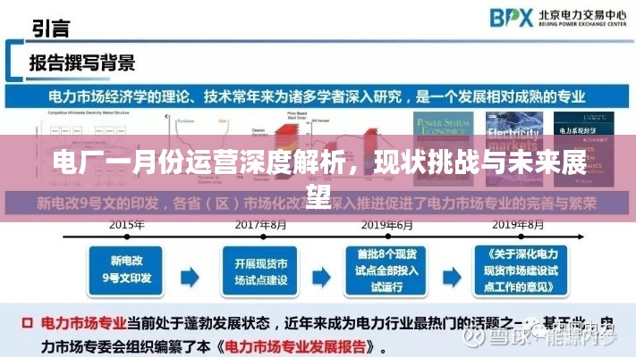 電廠一月份運營深度解析，現狀挑戰與未來展望