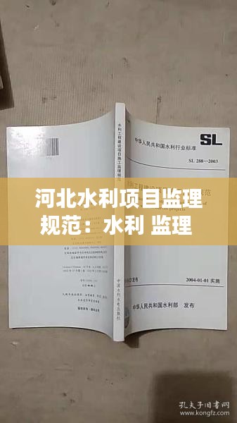 河北水利項目監理規范：水利 監理 規范 