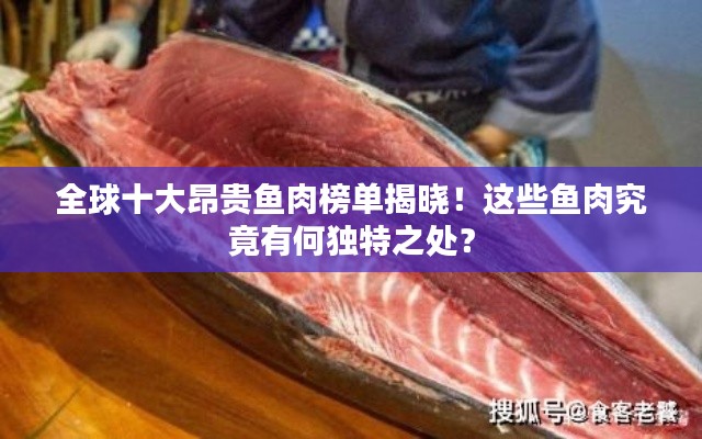 全球十大昂貴魚肉榜單揭曉！這些魚肉究竟有何獨特之處？