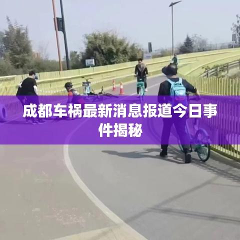 成都車禍最新消息報道今日事件揭秘