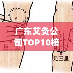 廣東艾灸公司TOP10榜單揭曉，權威排名，不容錯過！