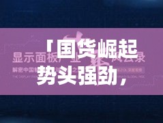 「國(guó)貨崛起勢(shì)頭強(qiáng)勁，中國(guó)制造崛起之路深度解析」