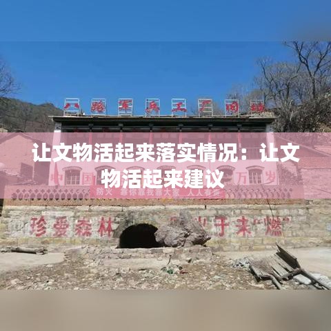 讓文物活起來落實情況：讓文物活起來建議 