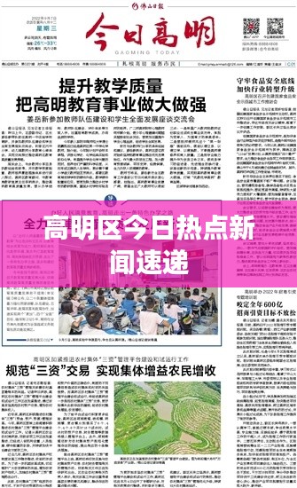 高明區今日熱點新聞速遞