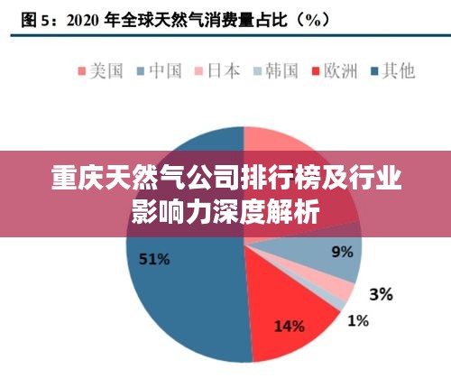 重慶天然氣公司排行榜及行業(yè)影響力深度解析