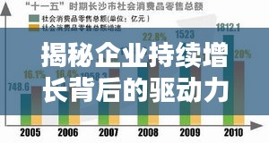 揭秘企業持續增長背后的驅動力，大業務持續拓展之路