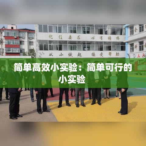 簡單高效小實驗：簡單可行的小實驗 