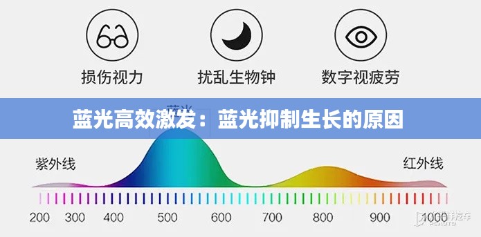 2025年2月2日 第4頁