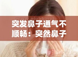 突發鼻子通氣不順暢：突然鼻子不透氣了 