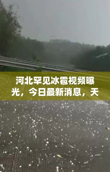 河北罕見冰雹視頻曝光，今日最新消息，天氣奇觀引發(fā)廣泛關(guān)注