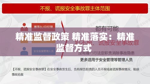 精準監(jiān)督政策 精準落實：精準監(jiān)督方式 