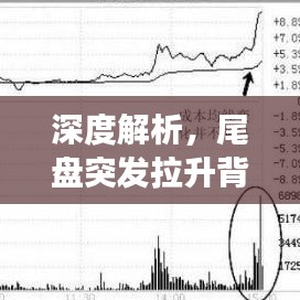 深度解析，尾盤突發拉升背后的動因及市場現象反思