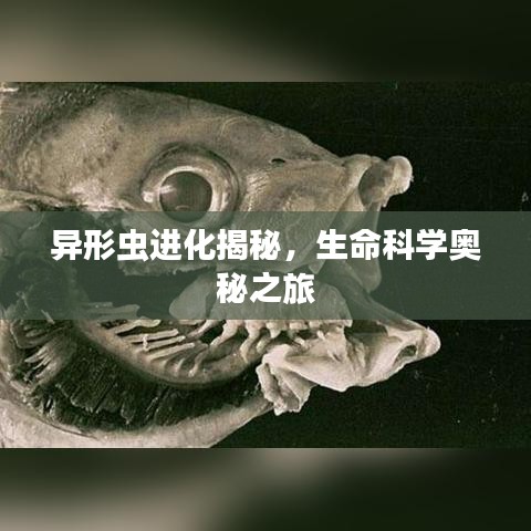 異形蟲進化揭秘，生命科學奧秘之旅