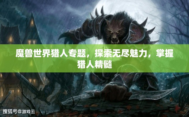 魔獸世界獵人專題，探索無盡魅力，掌握獵人精髓