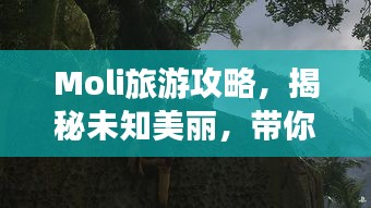 2025年2月4日 第12頁