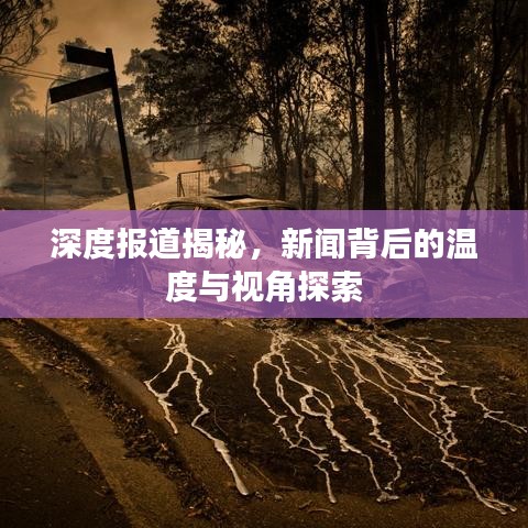 深度報道揭秘，新聞背后的溫度與視角探索