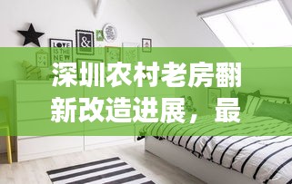 深圳農村老房翻新改造進展，最新動態揭秘