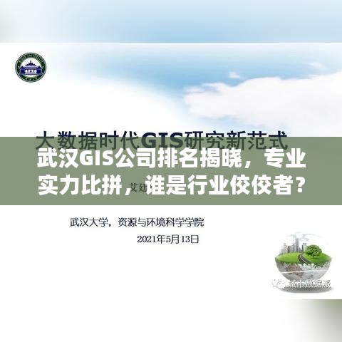 武漢GIS公司排名揭曉，專業實力比拼，誰是行業佼佼者？