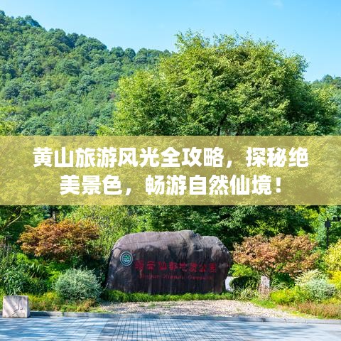 黃山旅游風光全攻略，探秘絕美景色，暢游自然仙境！