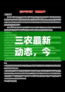 2025年2月5日 第6頁