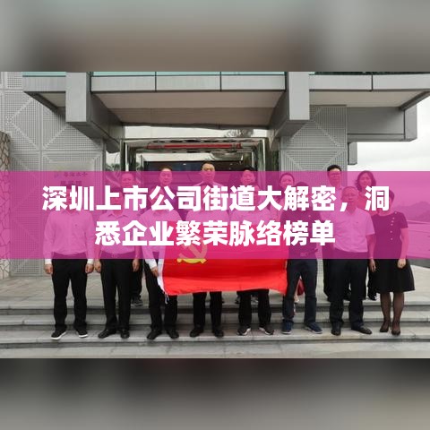 深圳上市公司街道大解密，洞悉企業繁榮脈絡榜單