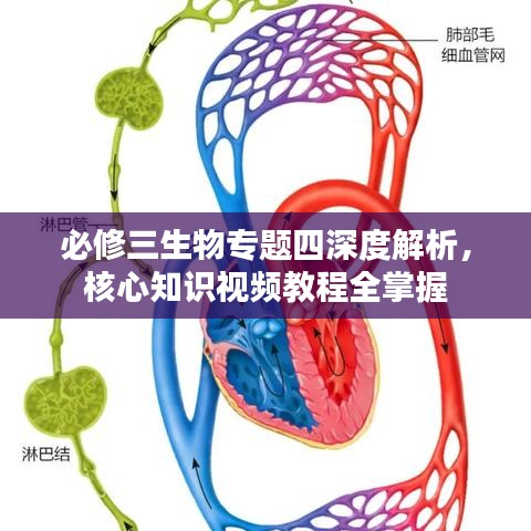 必修三生物專題四深度解析，核心知識視頻教程全掌握