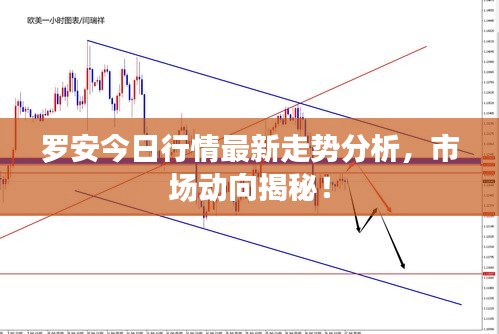 羅安今日行情最新走勢分析，市場動向揭秘！