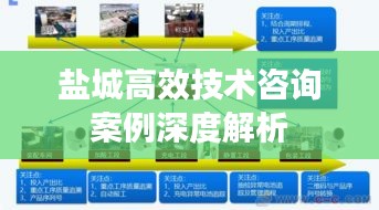 鹽城高效技術咨詢案例深度解析