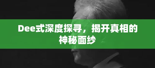 Dee式深度探尋，揭開真相的神秘面紗