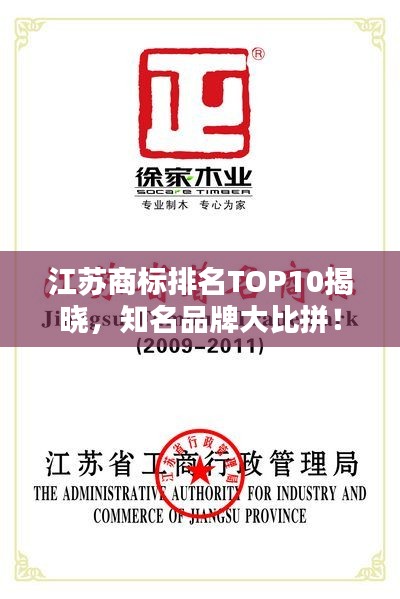 江蘇商標(biāo)排名TOP10揭曉，知名品牌大比拼！