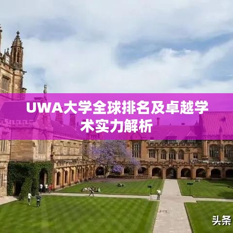 UWA大學全球排名及卓越學術實力解析