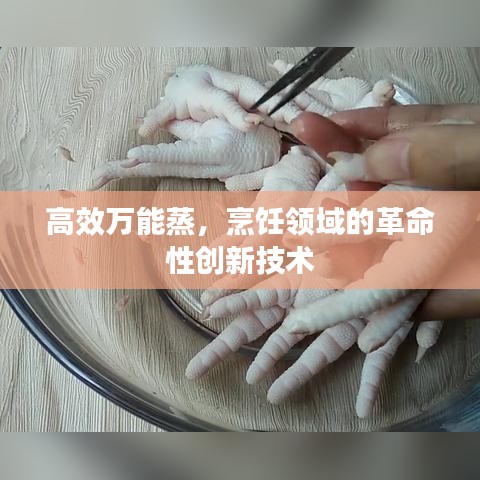 高效萬能蒸，烹飪領域的革命性創新技術