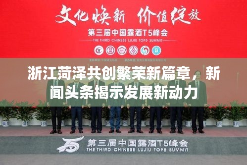 浙江菏澤共創繁榮新篇章，新聞頭條揭示發展新動力