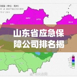 山東省應急保障公司排名揭秘，行業深度分析與洞察