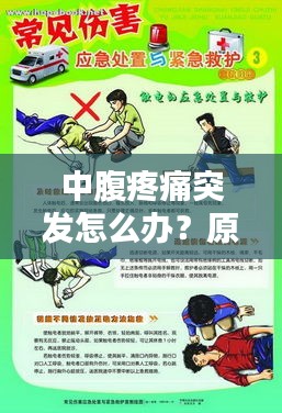 中腹疼痛突發怎么辦？原因解析、應急處理與預防措施一網打盡！