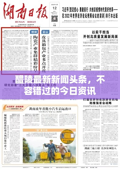 醴陵最新新聞頭條，不容錯過的今日資訊