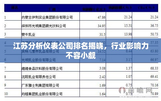 江蘇分析儀表公司排名揭曉，行業(yè)影響力不容小覷