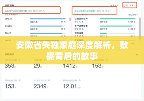 安徽省失獨家庭深度解析，數據背后的故事