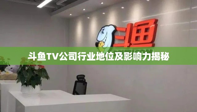 斗魚TV公司行業地位及影響力揭秘