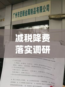 減稅降費(fèi)落實(shí)調(diào)研報(bào)告，政策成效分析與建議