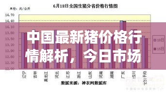 中國最新豬價格行情解析，今日市場走勢分析