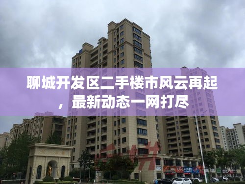 聊城開發區二手樓市風云再起，最新動態一網打盡