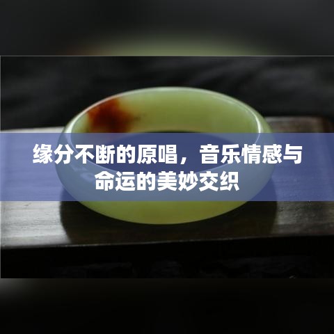 緣分不斷的原唱，音樂情感與命運的美妙交織