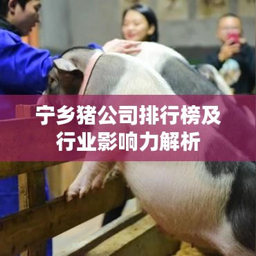 寧鄉豬公司排行榜及行業影響力解析