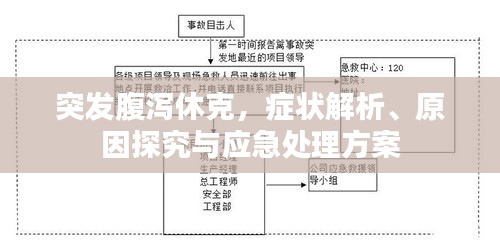 突發(fā)腹瀉休克，癥狀解析、原因探究與應(yīng)急處理方案