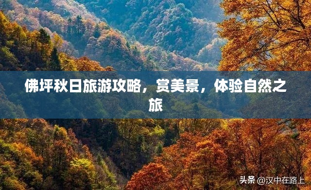 佛坪秋日旅游攻略，賞美景，體驗自然之旅