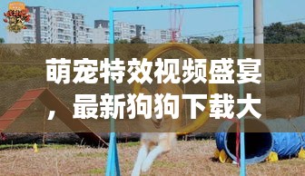 萌寵特效視頻盛宴，最新狗狗下載大全，一網打盡娛樂時光