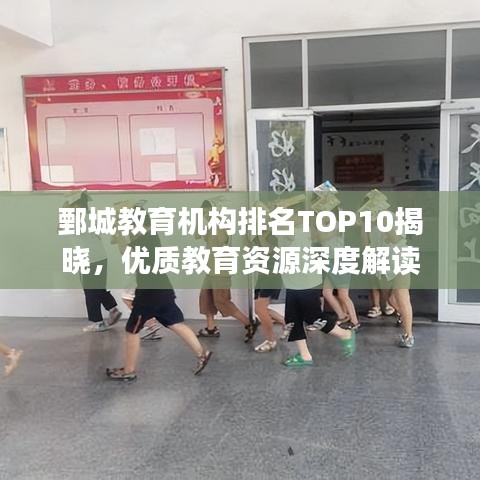 鄄城教育機構排名TOP10揭曉，優質教育資源深度解讀